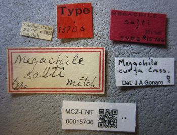 Media type: image;   Entomology 15706 Aspect: labels